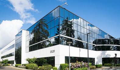 How Global Elections Are Reshaping the Future of Democracy