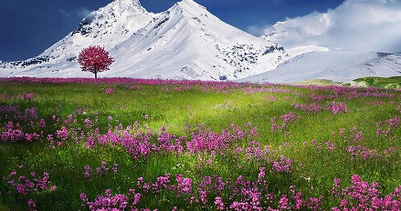 How Travel Influences Cultural Understanding Across Borders